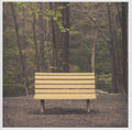 Streetlight Manifesto - The Hands That Thieve (2013)