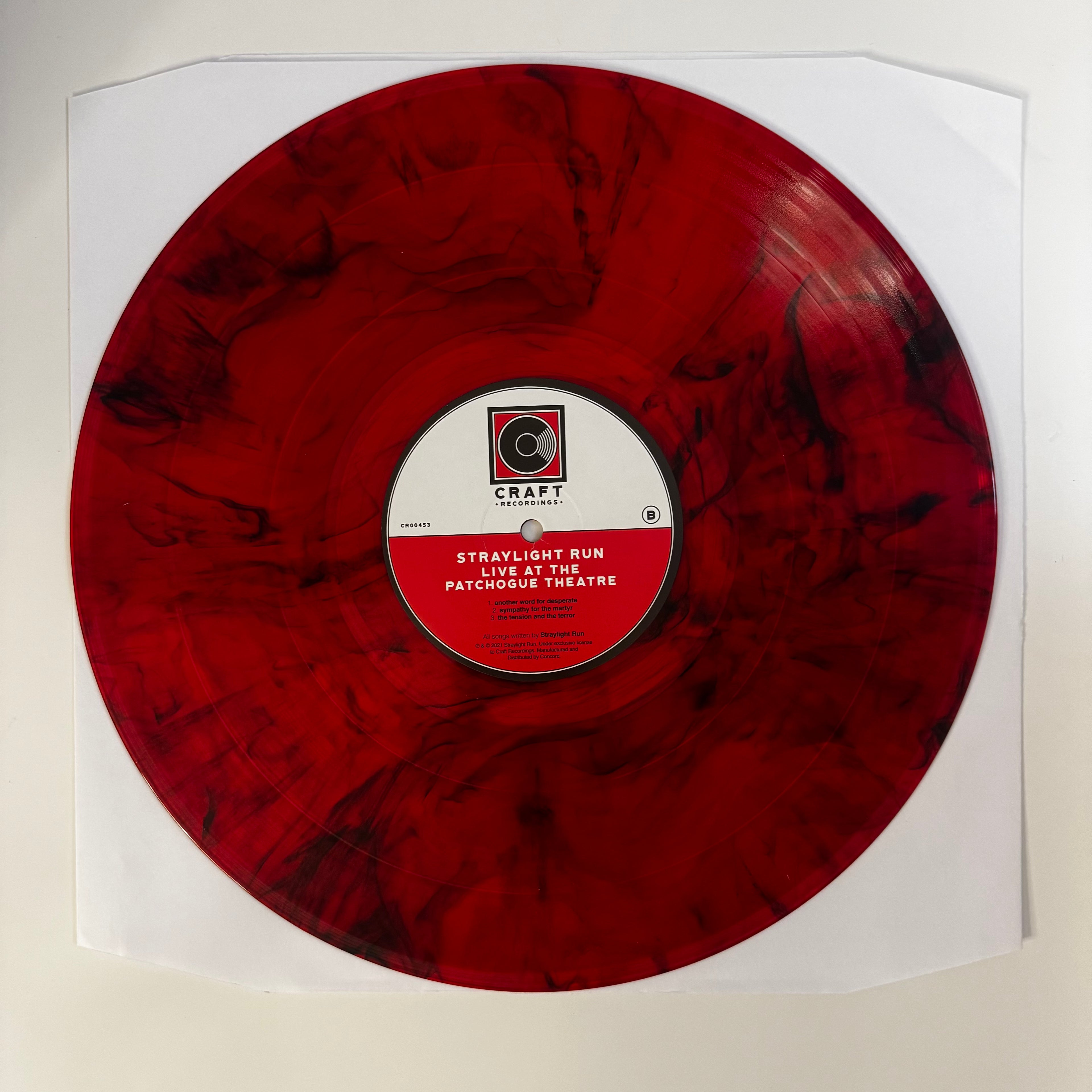 Straylight Run - Live at the Patchogue Theatre